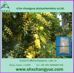 High Quality Acacia Rigidula Extract