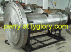 Forged Stel Shaft/forged Flange Shaft