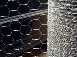 hexagonal wire mesh 