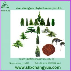 Factory Price High Quality Pine Bark Extract