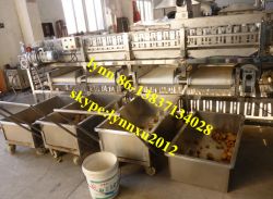 potato sorting machine 