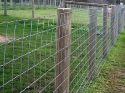 Low Carbon Field Fence - Galvanized &amp; Pvc Coat