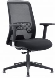 Ergonimic chair/Executive office chair 6613B