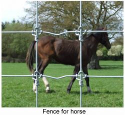 Livestock Fencing For All Types Of Domestic Animal