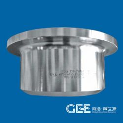 Asem B16.5 Stainless Steel Stub End