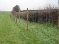 Field Fence - High Tensile Wire &amp; Low Carbon S