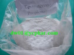 Testosterone Propionate Agovirin Test Prop