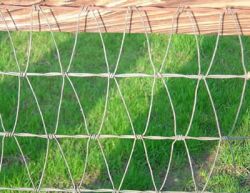 Horse Fencing - Non Climb &amp; Diamond Mesh