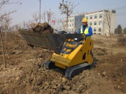 Mini Skid Steer Loader Price Ml526