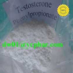 Testosterone Phenylpropionate Anabolic Powder