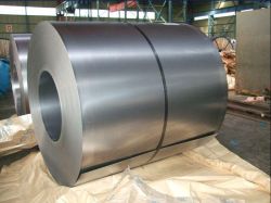 Galvanied Steel Coil