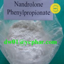 Nandrolone Phenylpropionate Durabolin 62-90-8 