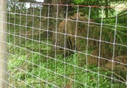 Economical Hinge Joints Field Fencing For Rural Fa