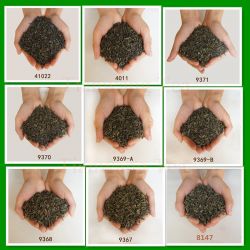 2016  New Harvested Loose Green Tea 