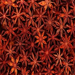 China Star Anise