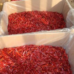 Dehydrated Red Chili Crushed