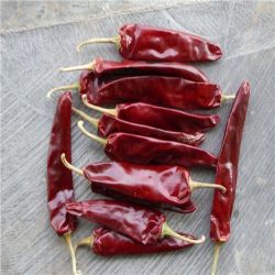 Spicy Dried Jinta Chili