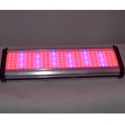 500w Full Spectrum Led Grow Lights