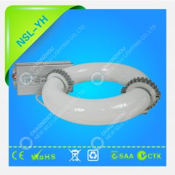 40~300w Induction Lamp (circle)