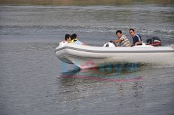 Rib Boat4.3m,semi-rigid Boat,rescue Boat
