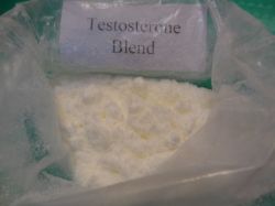 Testosterone Sustanon 250 Steroids