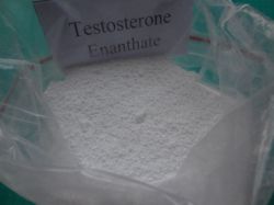 Testosterone Enanthate Steroids