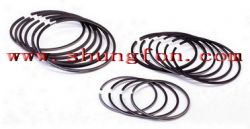 Piston Ring 