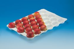 2014hot Sale Cheap Pp Fruit Tray