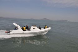 Rib Boat8.3m,ce Boat,fiberglass Boat
