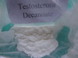 Testosterone Decanoate Steroids 