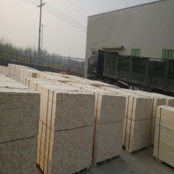 Shandong Factory Supply Best Price Poplar Lvl