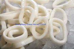 Frozen Squid Ring