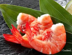 Frozen Vannamei Shrimp Cooked Hlso