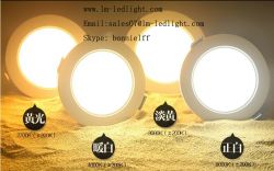 LED recessed downlight LED bulb led tube Leiming