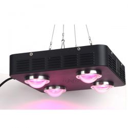 Equal 600w Hps Intense Cob Led Mushroom Grow Light