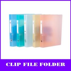 Color A4 Pp Clip File Folder With Replaceable Tagb