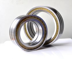 Full Complement Cylindrical Roller Bearings