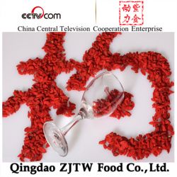 Wholesale Organic Ningxia Goji