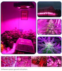 Best Spider COB   4 LED grow light