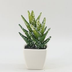 Best Selling Mini Potted Artificial Succulent 