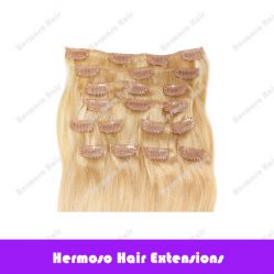 Clip In Colored Hair Extensions