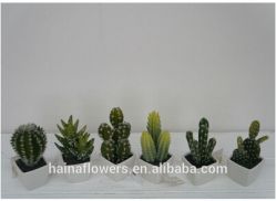 Best Selling Mini Artificial Plants Series