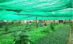 Hdpe Raschel Knitted Agriculture Shade Windbreak N