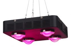 Best Spider COB   4 LED grow light