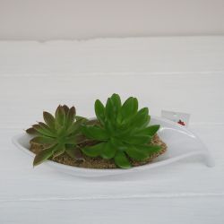 High Quality Artificial Plants Mini Plastic Plants