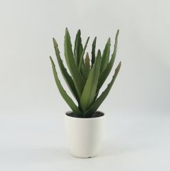 2014 High Imitation Potted Artificial Plants Aloe/