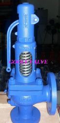 Spring loaded Safety Valve,API,DIN