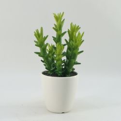 Decorative Artificial Plants Artificial Succulent 