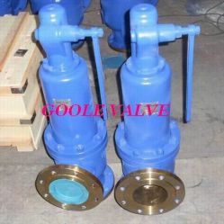 Spring loaded Safety Valve,API,DIN