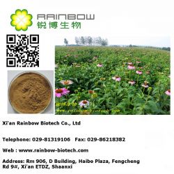 Echinacea Purpurea Extract Cichoric Acid /2-4% 